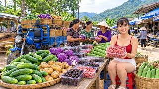 Huge Farm Harvest! Tons of Cucumbers, Cabbages & Mulberries for the Countryside Market Sell