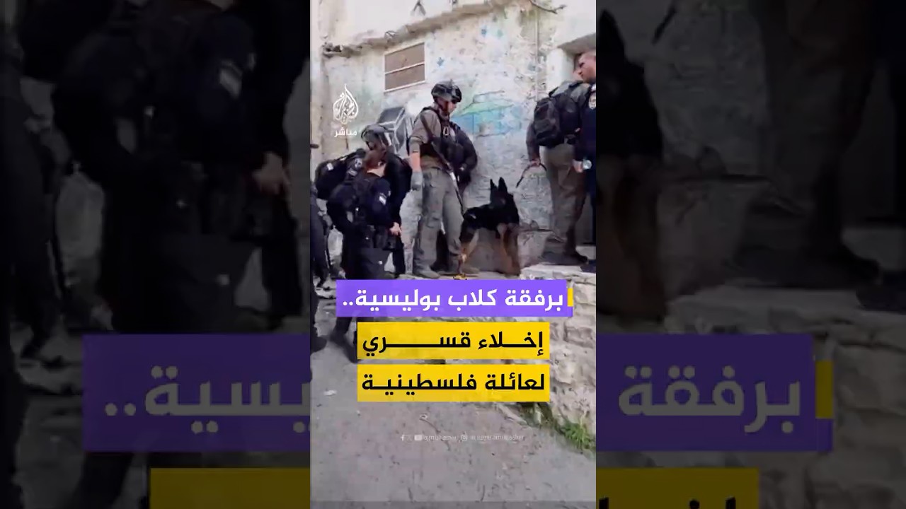 محافظة القدس: قوات الاحتلال اقتحمت برفقة كلاب بوليسية منزلي عائلة بصبوص في حي بطن الهوى ببلدة سلوان