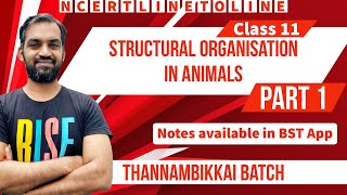 Structural organisation in Animals Class 11 | Part 1 | Thannambikkai Batch | NCERT line to line