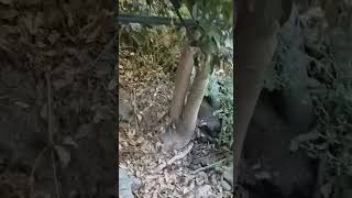 Καταγγελία για εγκατάλειψη και λύματα σε ρέμα της Λουτρόπολης Θερμής