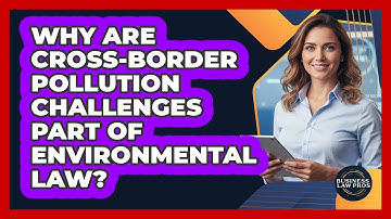 Why Are Cross-border Pollution Challenges Part Of Environmental Law? - Business Law Pros