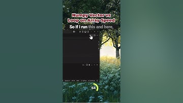 Numpy Vector vs Loop on Array Speed