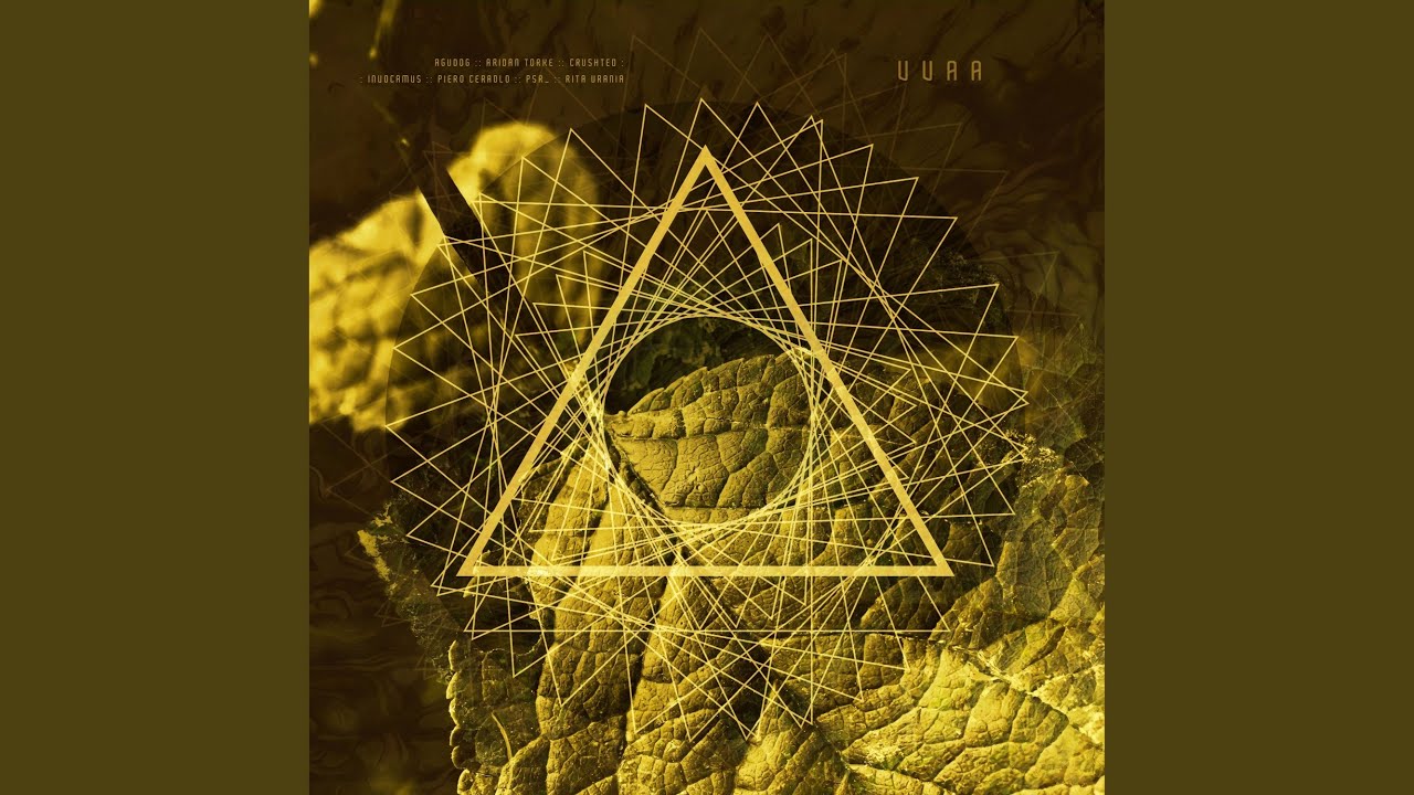 Watch Root 01 on YouTube Watch Root 01 on YouTube