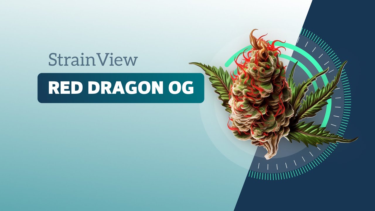 Red Dragon OG - Strainview
