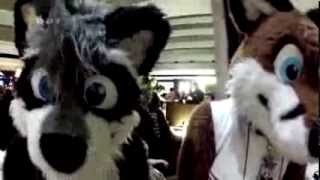 Midwest Furfest 2013 (AR Edit) #1