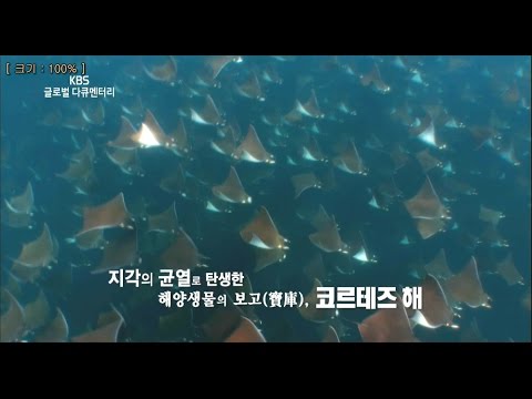 170409 글로벌다큐멘터리 예고 ㅣ KBS방송