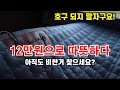 차량용 DC 온열매트 꼭 비싼걸 써야 하나요? 그냥 가성비 지리는거 쓰시죠! 11만원 짜리 찐 가성비!! 이거 쓰세요~