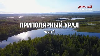 ВИЗУС-1 и Телеканал ДИКИЙ на Приполярном Урале. Часть 1