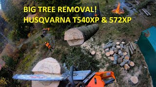 Arborist climbing and cutting down big tree | Husqvarna 572XP & T540XP by patkarlsson 10,549 views 1 year ago 20 minutes
