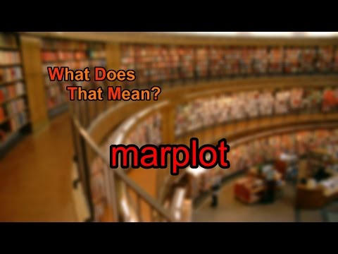 Vídeo: Qual é o significado da palavra marplot?