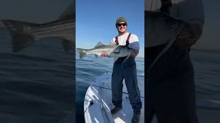 Striped bass on jigs!