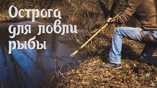 Примитивная острога для ловли рыбы Spear to catch fish