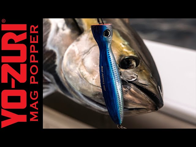 Yo-Zuri Mag Popper: Sport Fish Panama Island Lodge 