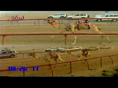 الهاجس لـ جار الله حمد سالمين المري سباق ولي العهد 24 2 2007 البندقية الفضية زمول 13 17 13