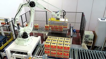 LITA Palletising Systems - Articulated Robot Palletizer LOGICO