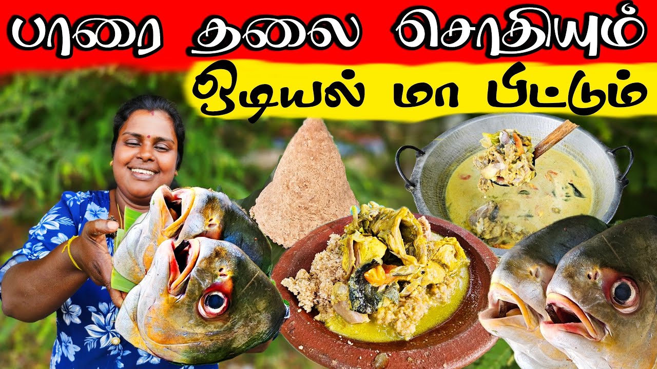 பாரை மீன் தலை சொதியும் ஒடியல் பிட்டும் | Our Village life | vanni vlog #traditionalfood