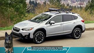 Love Is In The Air At Subaru Of Ann Arbor