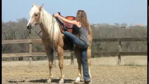 Valley View Ranch - Chex Fancy Agent -   ***For up-to-date info, price, etc., go to our website***