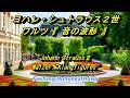 ヨハン・シュトラウス2世 ワルツ『音の波形』 Johann StraussⅡ