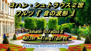 ヨハン・シュトラウス2世 ワルツ『音の波形』 Johann StraussⅡ