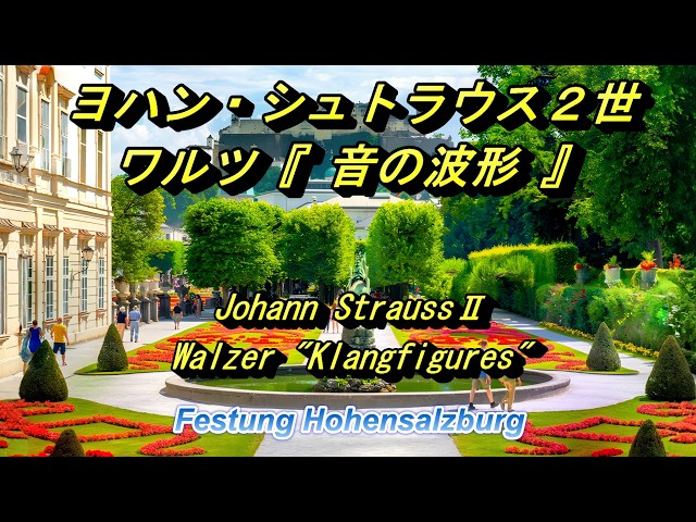 ヨハン・シュトラウス2世 ワルツ『音の波形』 Johann StraussⅡ