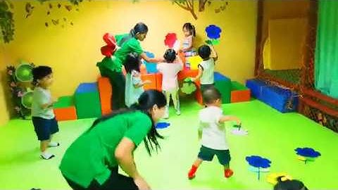 Play&Learn Program : Color Recognition Flower Sorting Game