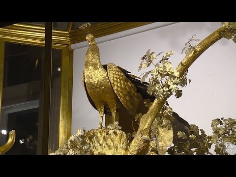 Видео: Как са украсени изложбените зали на Ермитажа