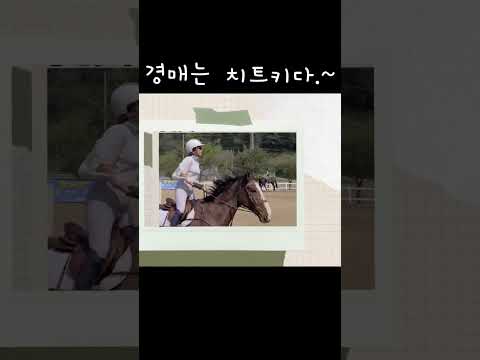 짧게생각하고 빨리행동하라#경매는 김지혜처럼#김지혜의 부동산경매지도