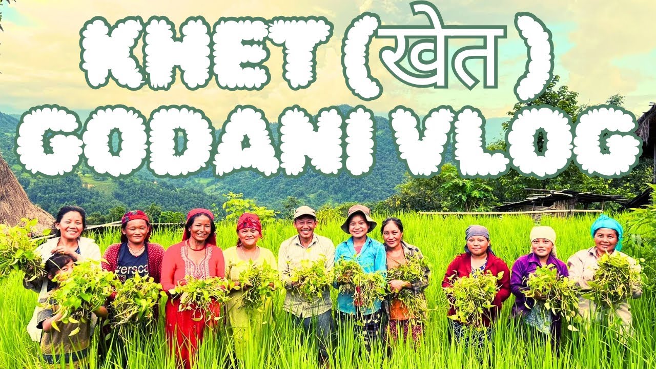 खेत गोडनि भ्लग || Khet || Godani || Vlog || दरो घाम लाग्यो || - YouTube