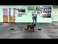 Sterling - Find it Benefits and Usage. Movement Behaviors can be so Very Helpful! 