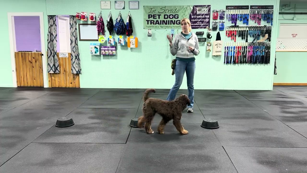 Sterling - Find it Benefits and Usage. Movement Behaviors can be so Very Helpful! 