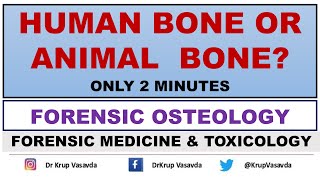 Animal Bone Vs Human Bone || Forensic Osteology || Dr Krup Vasavda