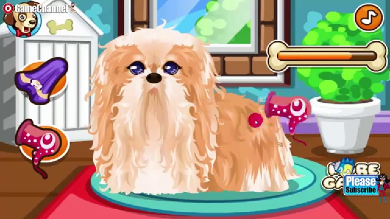 BECOME A PUPPY GROOMER - Play Online for Free!