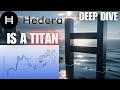 Hedera divehbar price chart  updates crypto news watch all