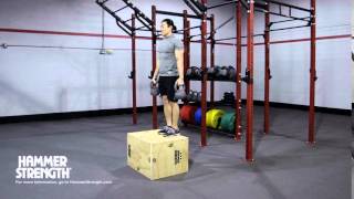Plyometric Box Weighted Step Up