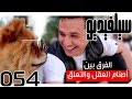 الفرق بين نسف أصنام العقل ونسف التعلق | سيلفيديو0054 | د.أحمد عمارة