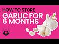 How To Store Fresh Garlic A Long Time
