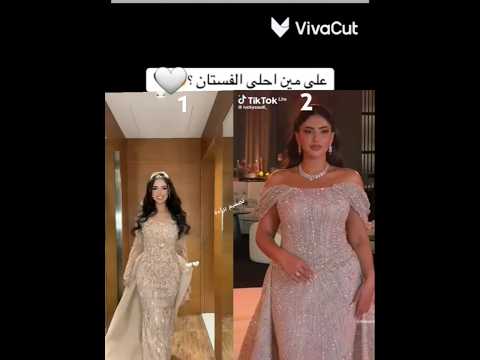 شمس الفارس