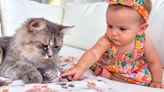 Baby's Reaction to a Mom Cat and Her Tiny Kitten