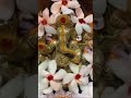 #jaiganesha #subscribe #song #music #ganesh #trendingshorts #viralshort #youtubeshorts #shorts