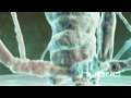 Bacteriophage hybrid medical animation