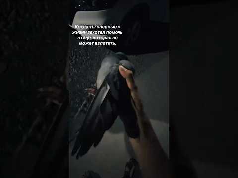 Пешком безопаснее. Автор видео: @_saydakbarov_ #комментарии #юмор #мемы