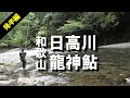 2021.日高川龍神鮎-後半編