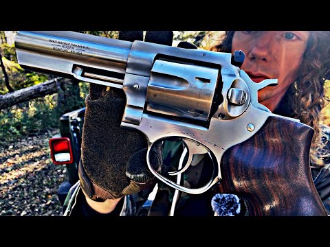 Stainless Steel Ruger GP100 357 Magnum For 2026 