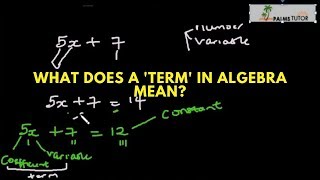What does a “term” in algebra mean?