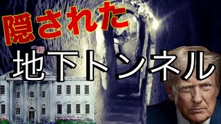 警察官ゆりのアメリカ生活の配信のサムネイル画像