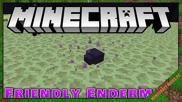 FriendlyEndermite Mod 1.16.5/1.15.2/1.12.2 Download - How to install it for Minecraft PC