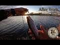 Caught A Trout - After Work Fishing! PNW