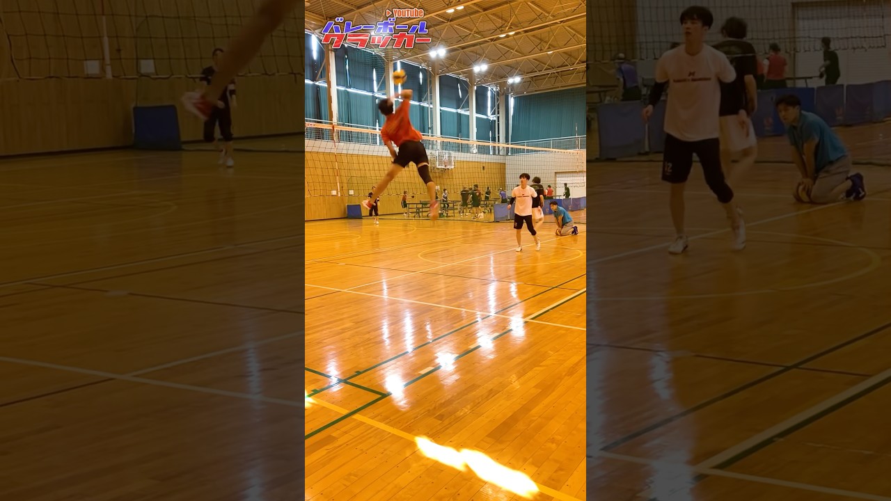 低身長なら飛べ！！#最高到達点330cm!?#ジャンプ力 #volleyballworld #haikyuuxyn