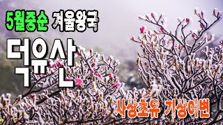 사상 초유의 기상이변_5월 중순의 겨울왕국 덕유산